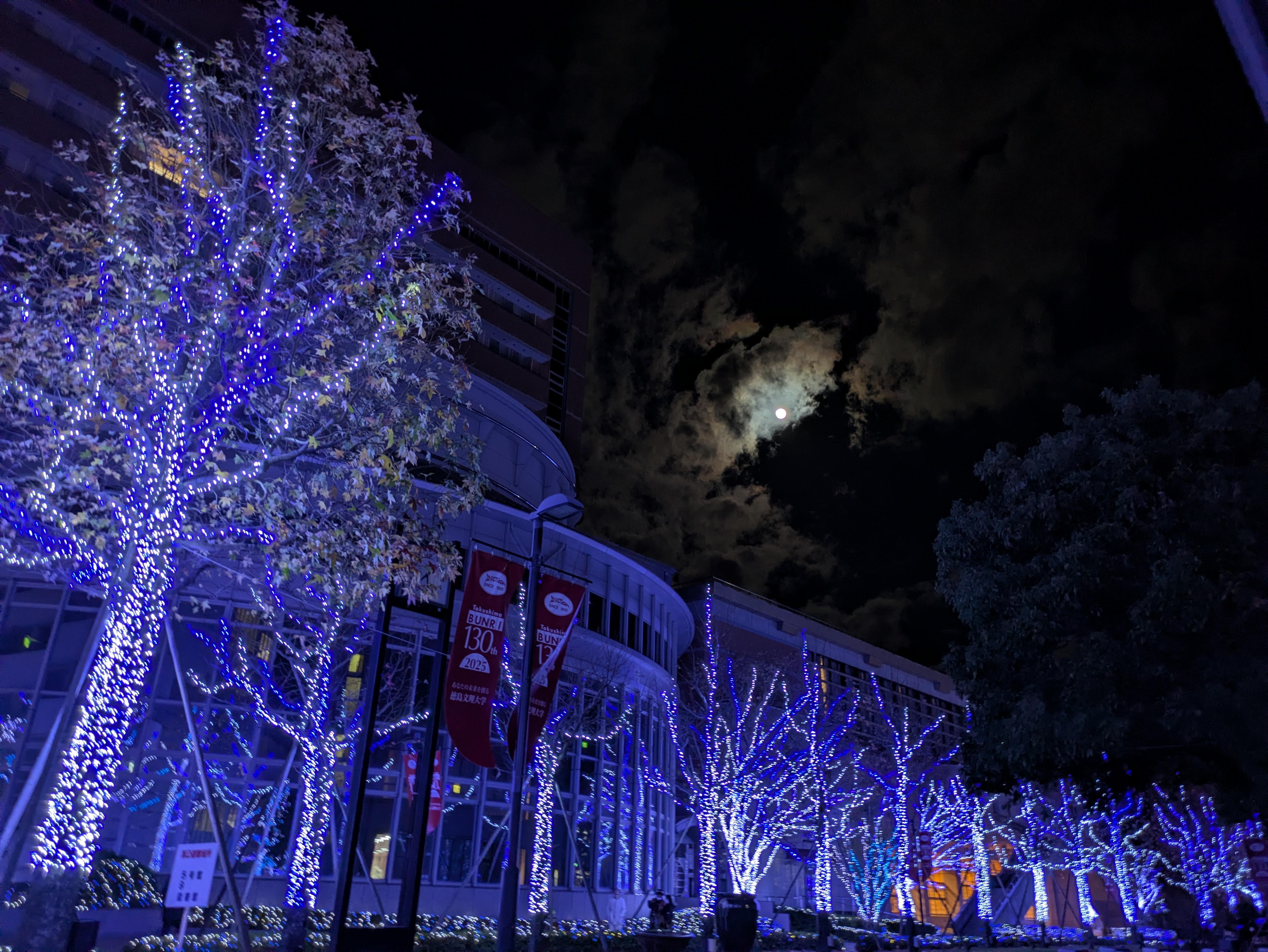 徳島文理大学イルミネーション